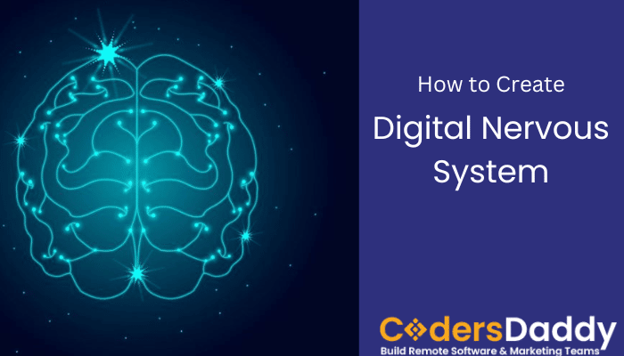 Digital Nervous System